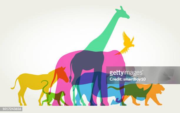illustrazioni stock, clip art, cartoni animati e icone di tendenza di gruppo di animali selvatici - animale