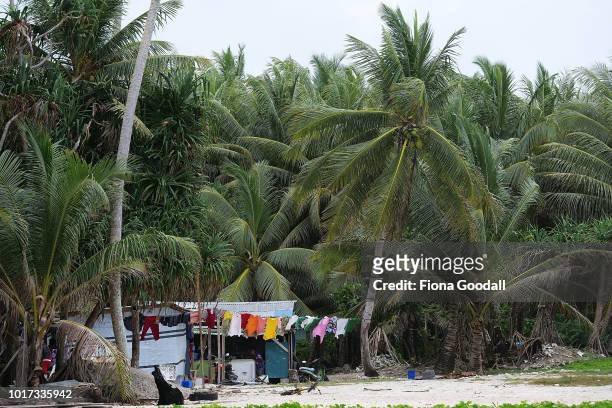 House nestled under palm trees at the north end of the mainland on August 15, 2018 in Funafuti, Tuvalu. The small South Pacific island nation of...