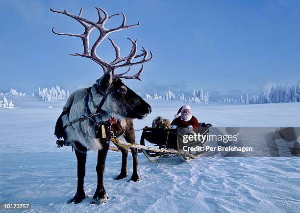 santa and reindeer, norway - sleigh - fotografias e filmes do acervo
