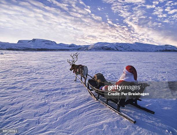 santa figure in sleigh, norway - reindeer fotografías e imágenes de stock