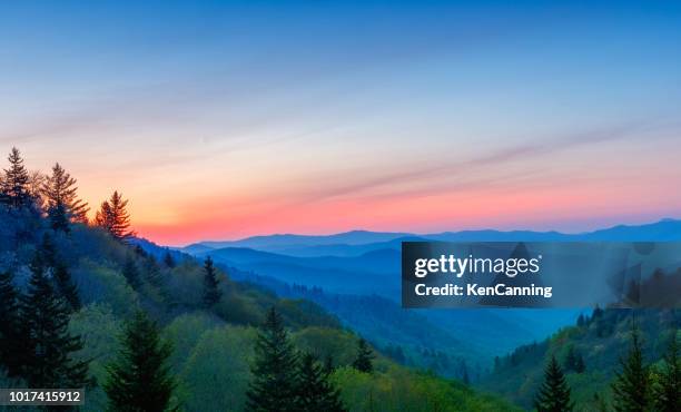 misty bergketen rollen net voor zonsopgang at great smoky mountains national park - north carolina staat stockfoto's en -beelden