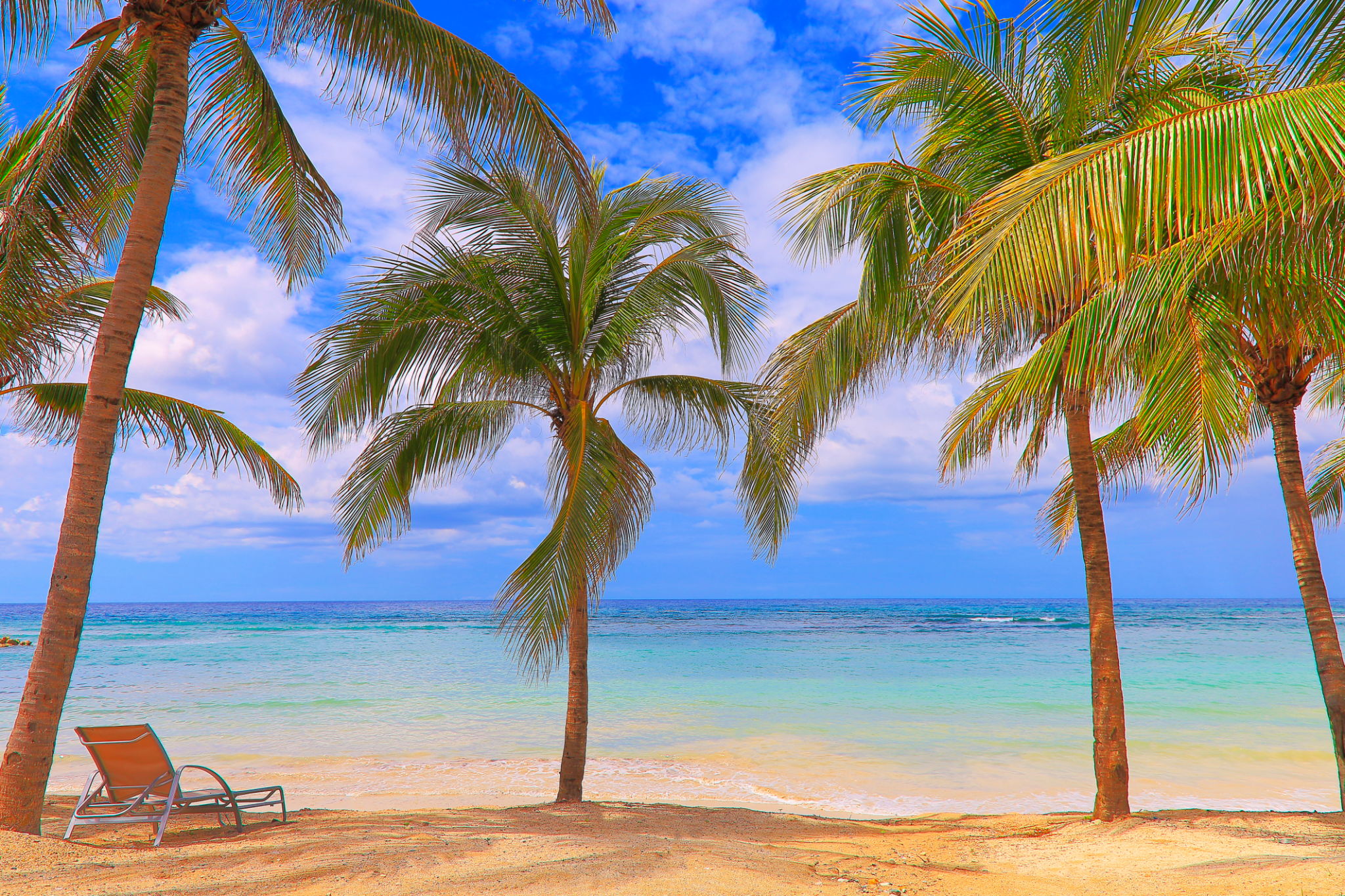 Jamaica nature