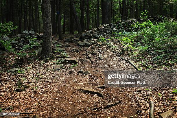 Twigs are scattered along the path of hiking trails in a forested area on June 7, 2010 in Easton, Connecticut. According to a new report by...