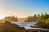 Shoreline at wild pacific trail in Ucluelet, Vancouver Island, BC