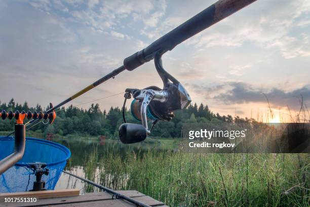 rod on the river bank against the rising sun. - carp imagens e fotografias de stock