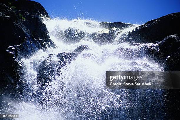 kulshan creek,  mount baker area, washington - falling water flowing water stock pictures, royalty-free photos & images