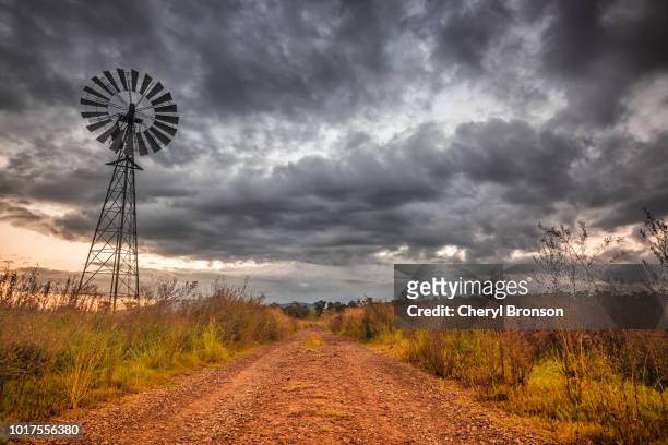 dirt road in rural australia from low perspective - outback windmill bildbanksfoton och bilder
