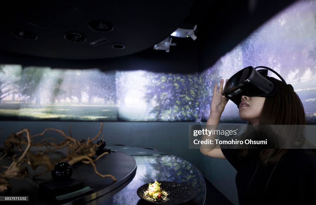 Dining Inside Tokyo's Virtual Reality Restaurant