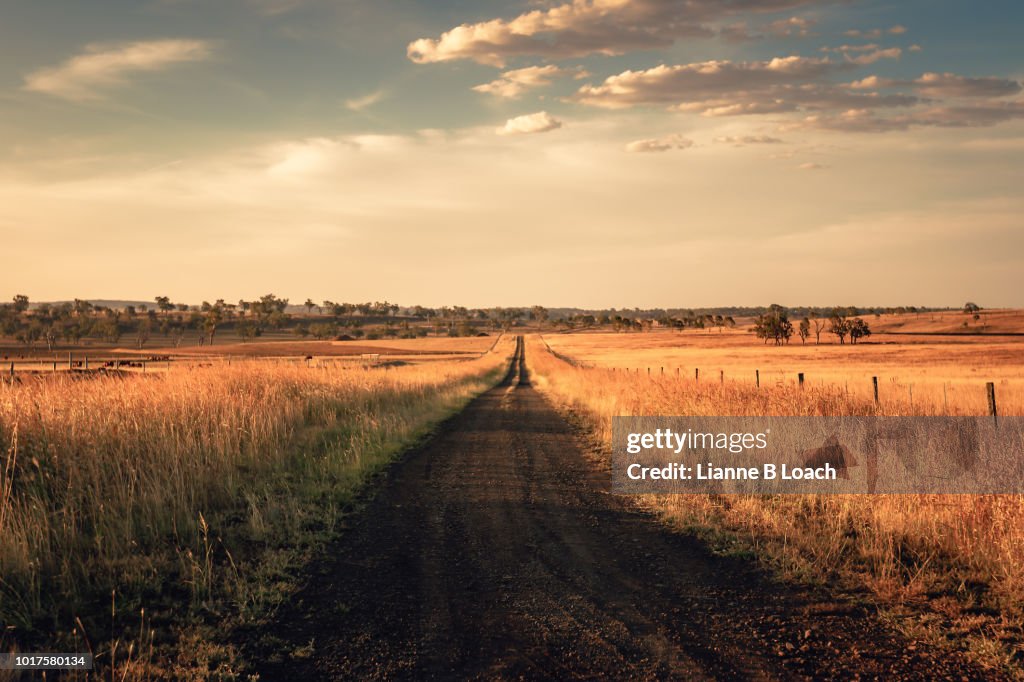Dirt Road Sunset