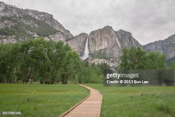 wooden path in yosemite valley - yosemite valley stock pictures, royalty-free photos & images