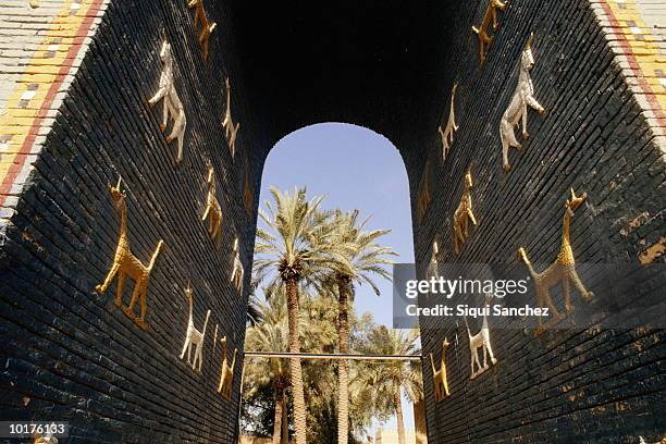 babylonia, iraq - babylonia stock pictures, royalty-free photos & images
