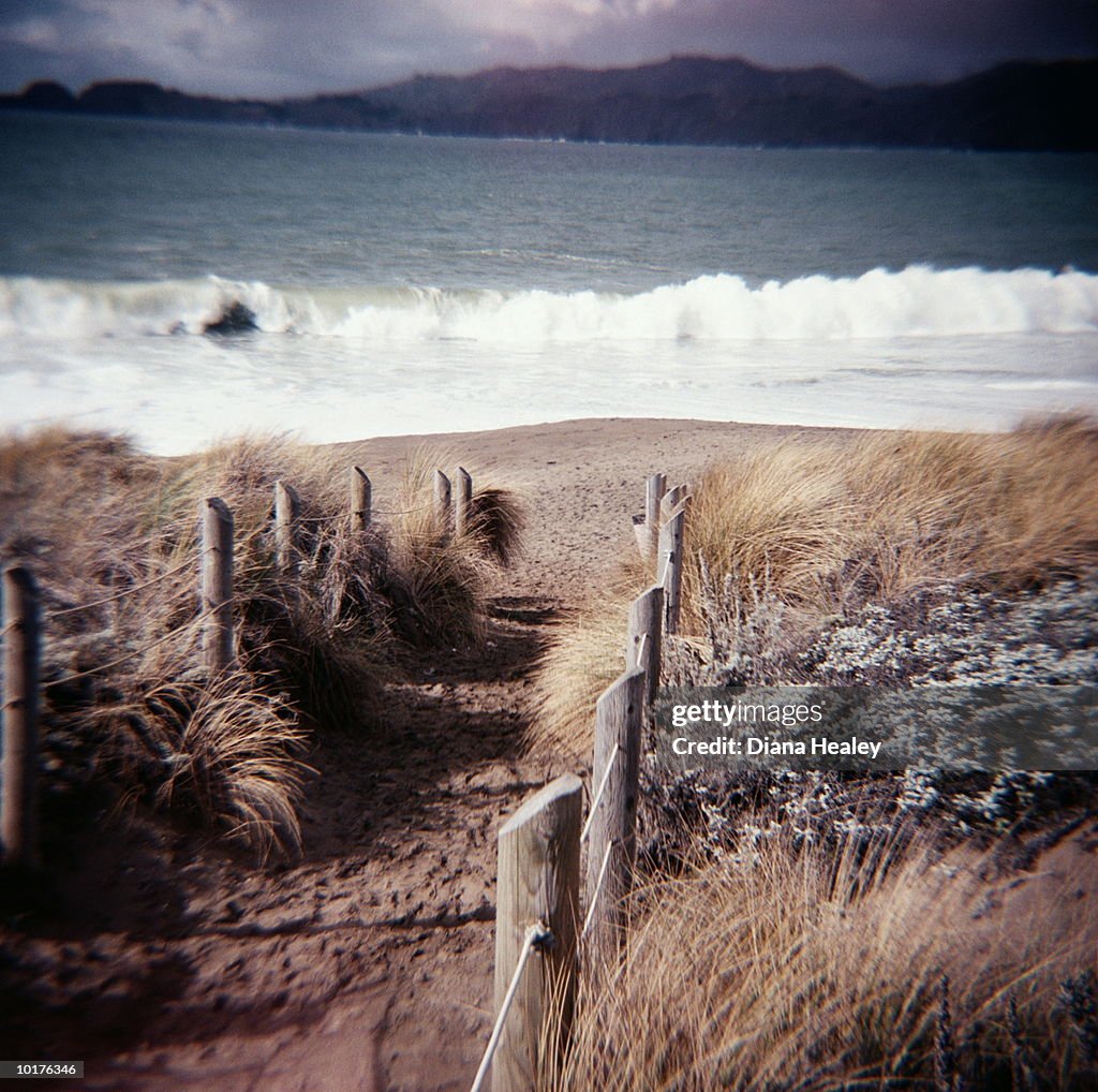 SAND DUNES AND PATH TOWARDS BEACH