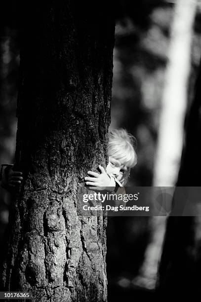 child hiding behind tree - dag 2 stock pictures, royalty-free photos & images