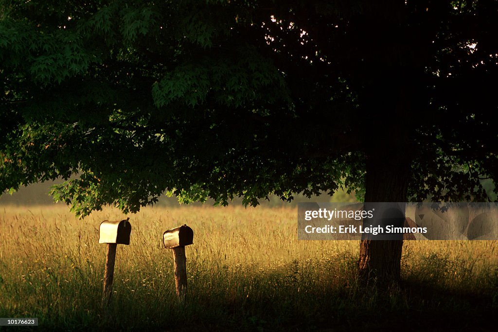 MAIL BOXES