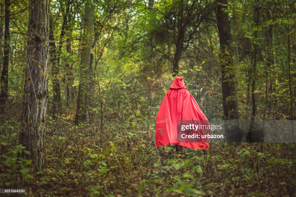 Little red riding hood in a forest