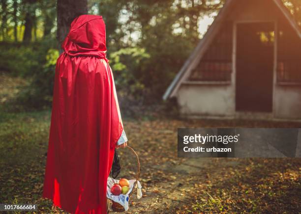 chapeuzinho vermelho em uma floresta - chapeuzinho vermelho criatura mítica - fotografias e filmes do acervo
