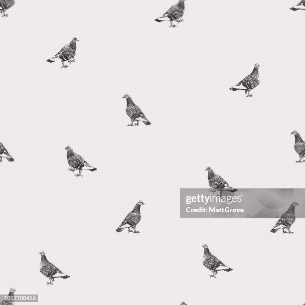 pigeons repeat pattern - pigeon stock illustrations