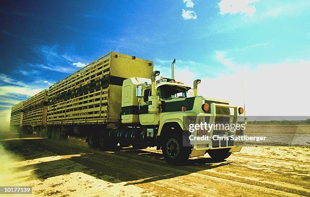 truck, queensland, australia - animal powered vehicle photos et images de collection