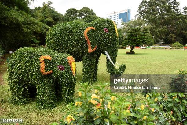 Floral decorations seen in the gardens of Karnataka Raj Bhavan, the residence of the state Governor on August 16, 2018 in Bengaluru, India. The Raj...