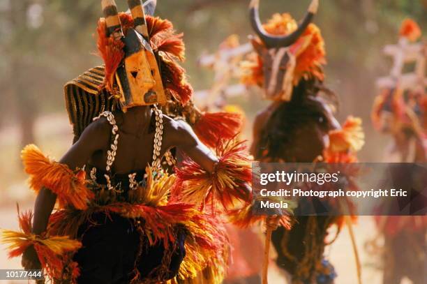 dogon male dancers, mali - african tribal images stock pictures, royalty-free photos & images