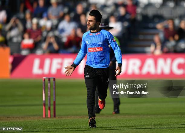 Rashid Khan Arman of Sussex celebrates taking the wicket of Miles Hammond of Gloucestershire during the Vitality Blast match between Gloucestershire...