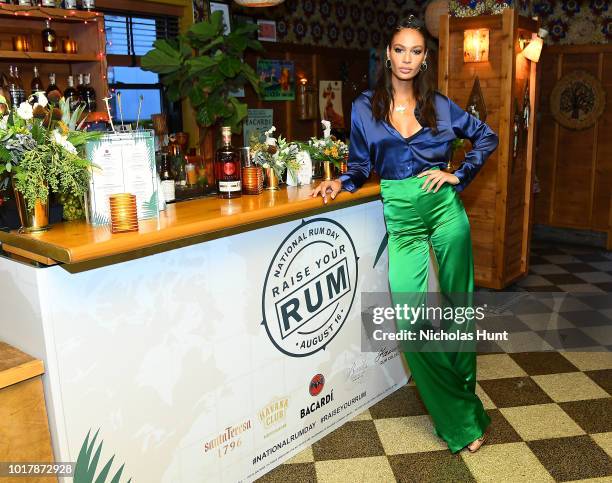Joan Smalls attends the Raise Your Rum on National Rum Day with BACARDI Rum on August 16, 2018 in New York City.