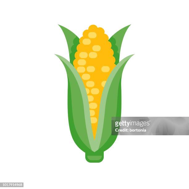 corn flat design vegetable icon - corn cob vector stock illustrations