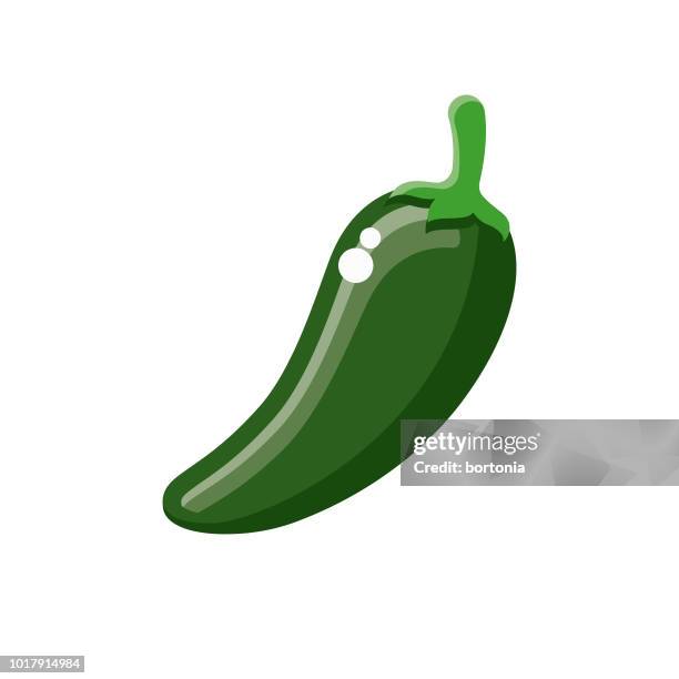 bildbanksillustrationer, clip art samt tecknat material och ikoner med jalepeno platt design vegetabiliska ikon - grön chilipeppar