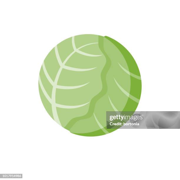 2 322点のレタスイラスト素材 Getty Images 2 322点のレタスイラスト素材 Getty Images