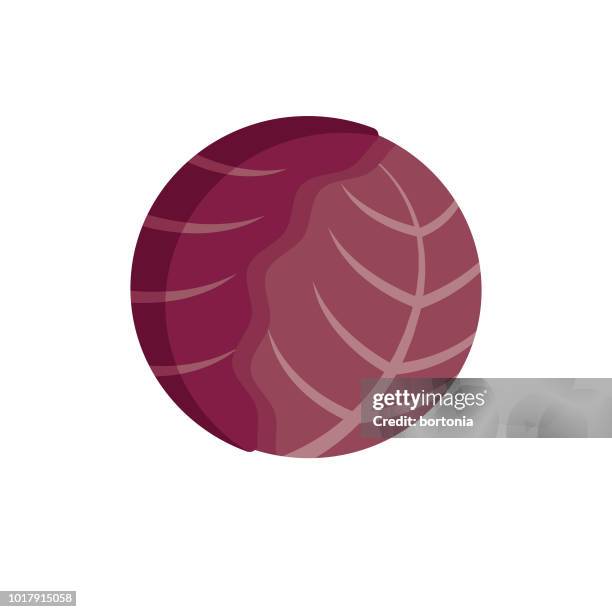 red cabbage flat design vegetable icon - red cabbage stock illustrations
