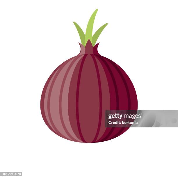 ilustraciones, imágenes clip art, dibujos animados e iconos de stock de cebolla roja diseño plano vegetal icono - spanish onion