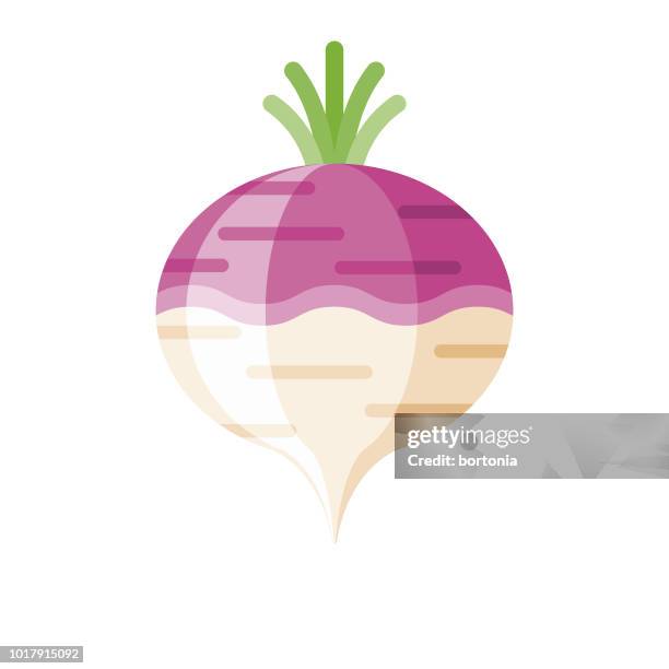 turnip flat design vegetable icon - brassica rapa stock illustrations