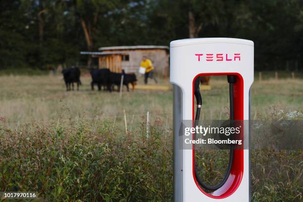 Tesla Inc. Supercharger station stands in Rubigen, Switzerland, on Thursday, Aug. 16, 2018. Tesla chief executive officer Elon Musk has captivated...