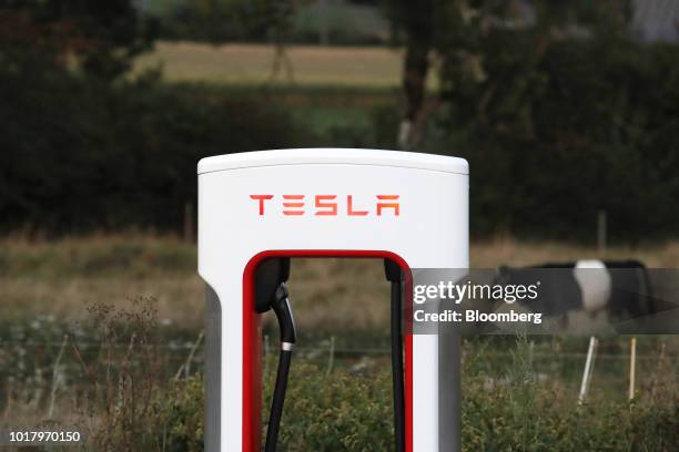 Tesla Inc. Supercharger station stands in Rubigen, Switzerland, on Thursday, Aug. 16, 2018. Tesla chief executive officer Elon Musk has captivated...