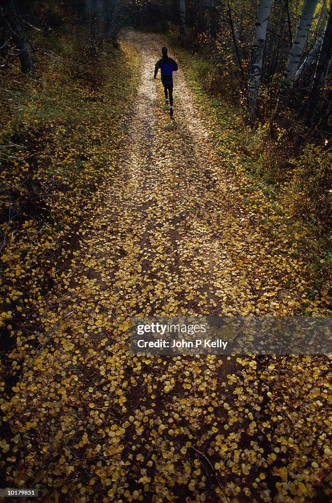 MAN RUNNING, AUTUMN, WESTERN COLORADO