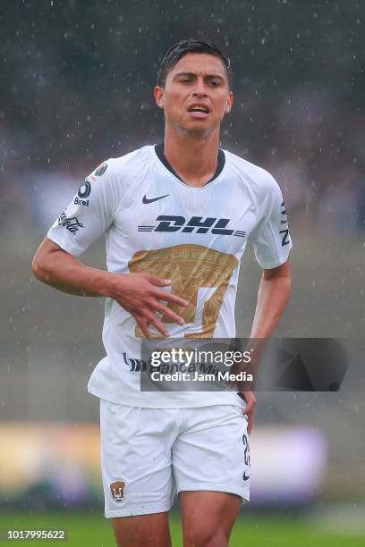 Rosario Cota of Pumas looks on during the fourth round match between Pumas UNAM and Pachuca as part of the Torneo Apertura 2018 Liga MX at Olimpico...