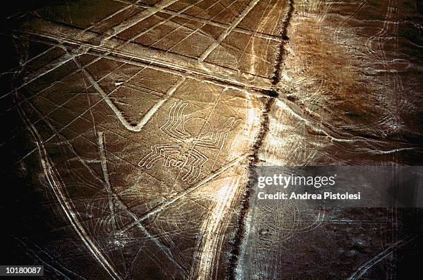 peru, aerial of nazca lines - nazca stock pictures, royalty-free photos & images