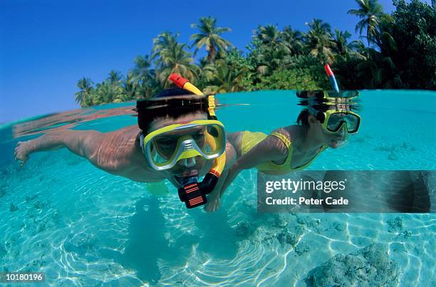 couple snorkeling off reef, maldives - snorkelling stock pictures, royalty-free photos & images