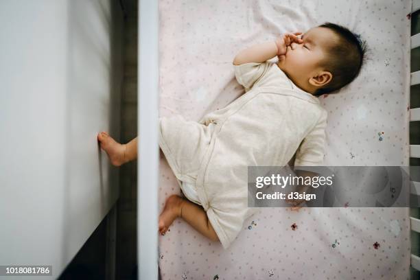 cute asian baby girl sucking thumb while sleeping peacefully in baby cot - sleeping baby stockfoto's en -beelden