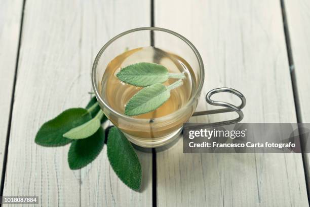 Selavi Tea Salvia Tea Photos and Premium High Res Pictures - Getty Images