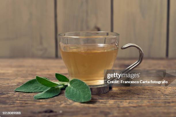 sage - tea sage stock pictures, royalty-free photos & images