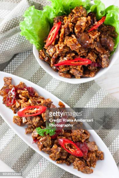 tempeh orek or scrambled tempeh - indonesian food - shot overhead in clean simple styling - テンペ ストックフォトと画像