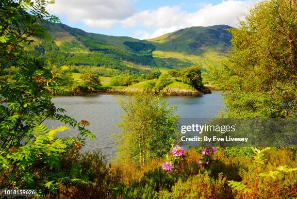 sumny day in scotland - schottisches hochland stock-fotos und bilder