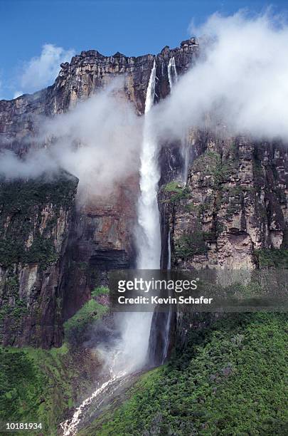 angel falls, canaima nationall park, venezuela - angel falls stock pictures, royalty-free photos & images