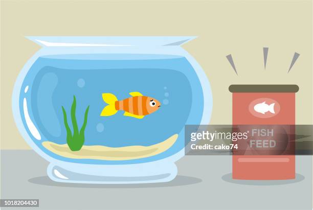 21 Fish Food Illustrations - Getty Images