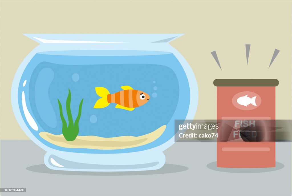 Hungry fish