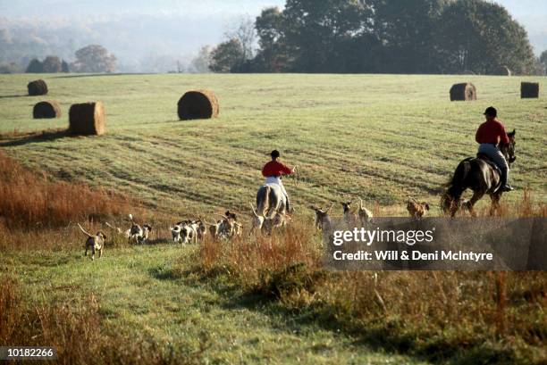 riders on foxhunt, afton, virginia - afton virginia stock pictures, royalty-free photos & images