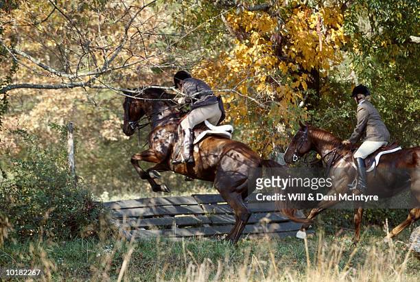 riders jumping fence, on foxhunt, virginia - chasse à courre photos et images de collection