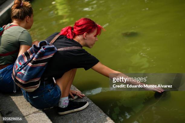 Woman pets a turtle during a warm day at Central Park on August 17, 2018 in New York City. Severe thunderstorms and even an isolated tornado could...