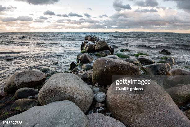 evening on rügen island - driftwood stock pictures, royalty-free photos & images